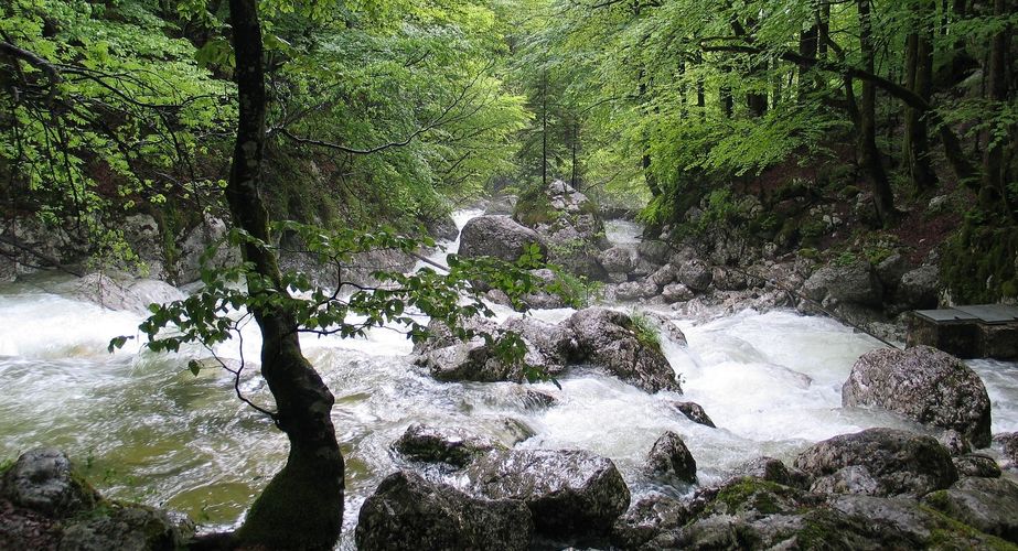 Riviertjes in Slovenië Riviertjes in Slovenië